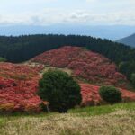 japanese nature