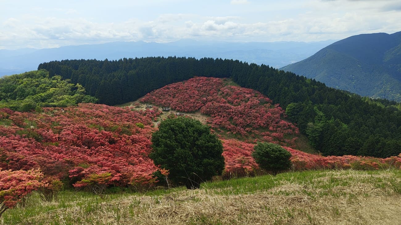 japanese nature