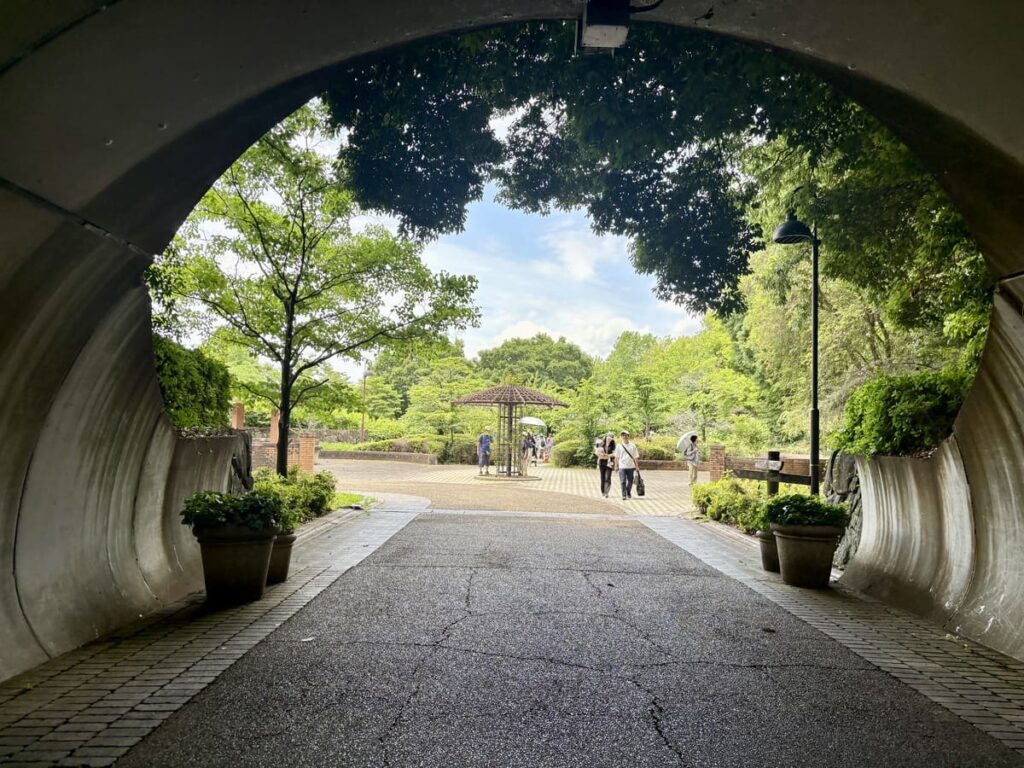 nara parks